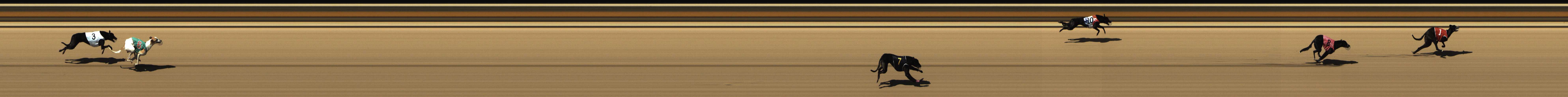 Photo finish for Shepparton Race 5