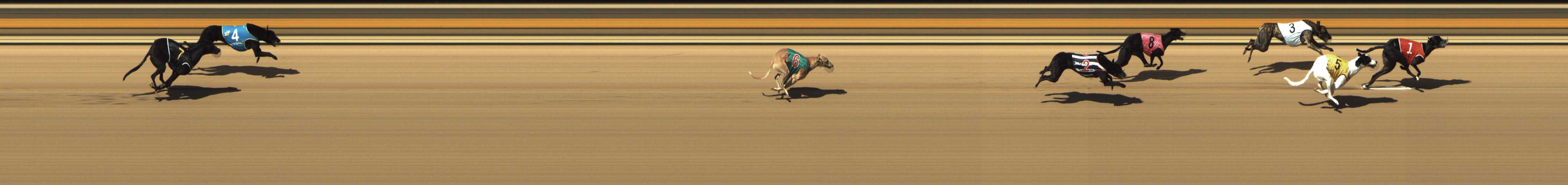 Photo finish for Shepparton Race 7