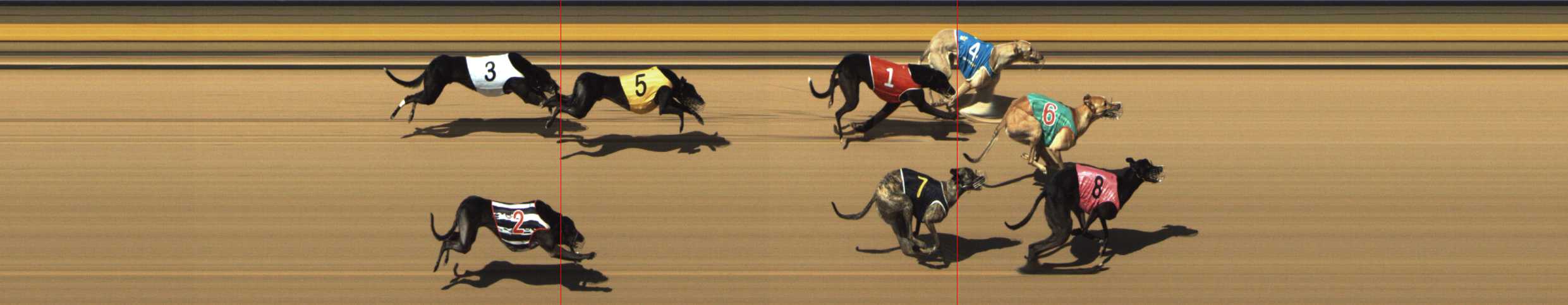 Photo finish for Shepparton Race 8