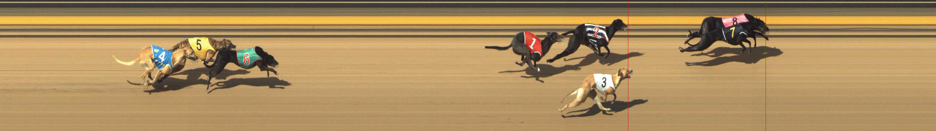 Photo finish for Shepparton Race 9