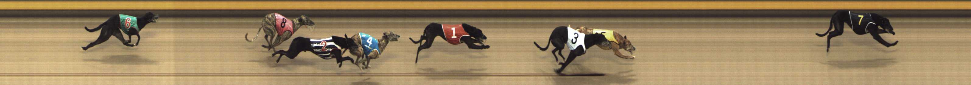 Photo finish for Shepparton Race 2