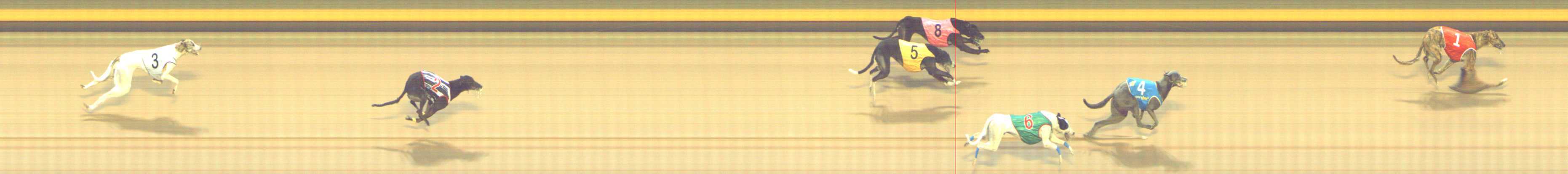 Photo finish for Shepparton Race 3