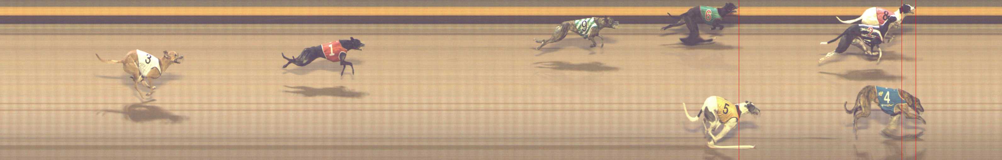 Photo finish for Shepparton Race 4