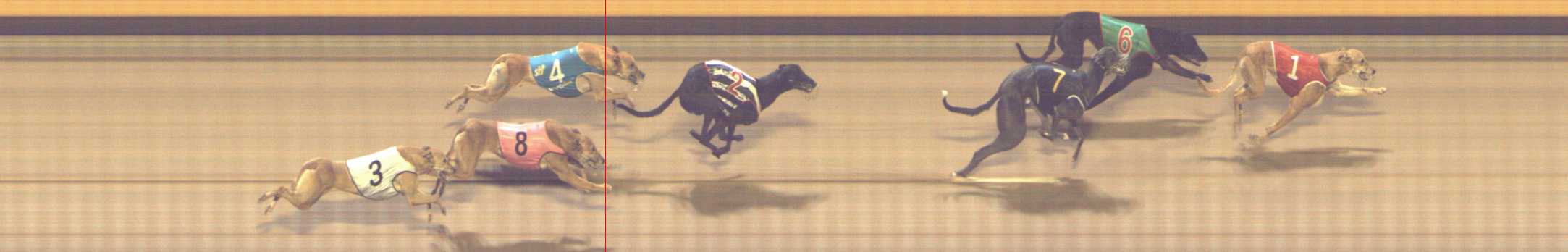 Photo finish for Shepparton Race 5