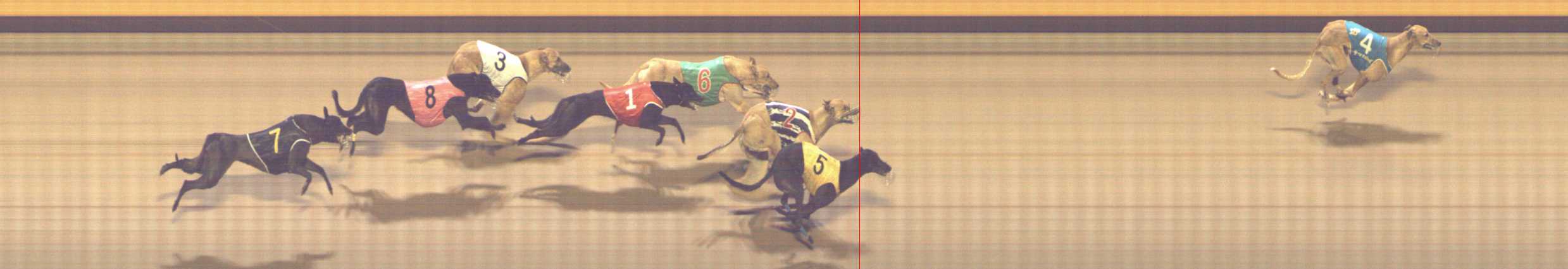 Photo finish for Shepparton Race 6