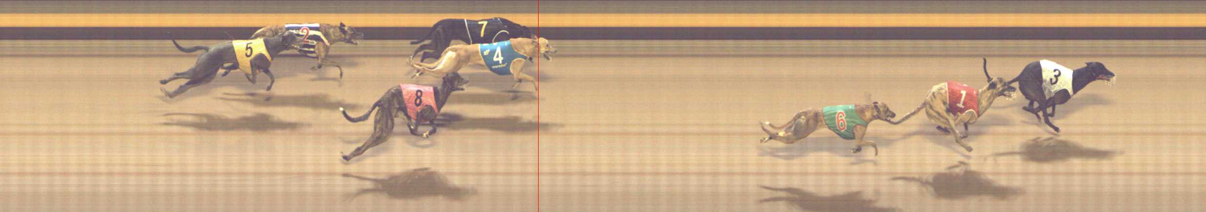 Photo finish for Shepparton Race 8