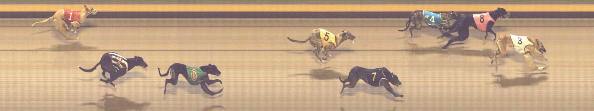 Photo finish for Shepparton Race 9