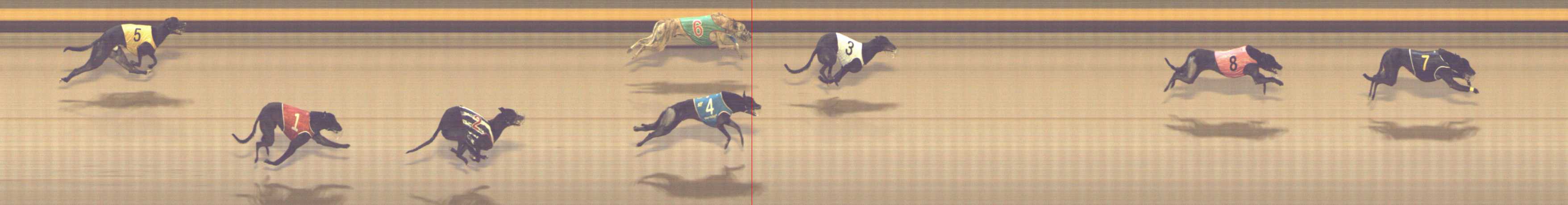 Photo finish for Shepparton Race 10