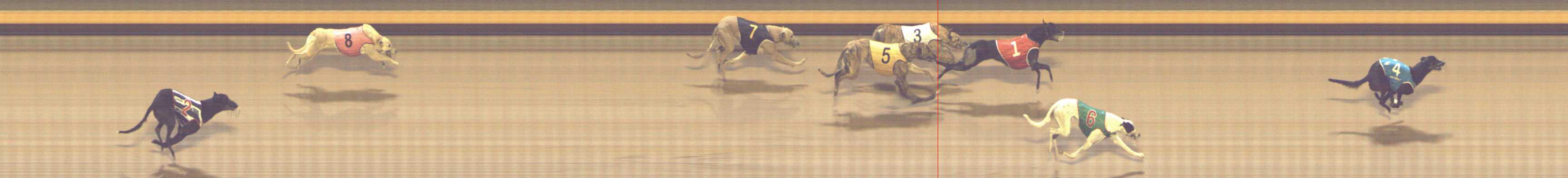 Photo finish for Shepparton Race 11