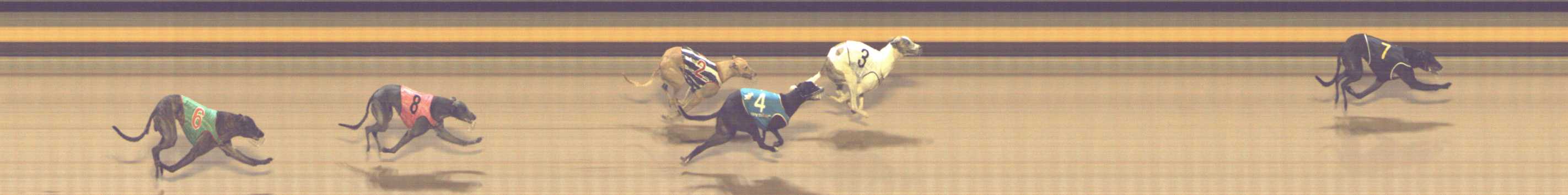 Photo finish for Shepparton Race 12