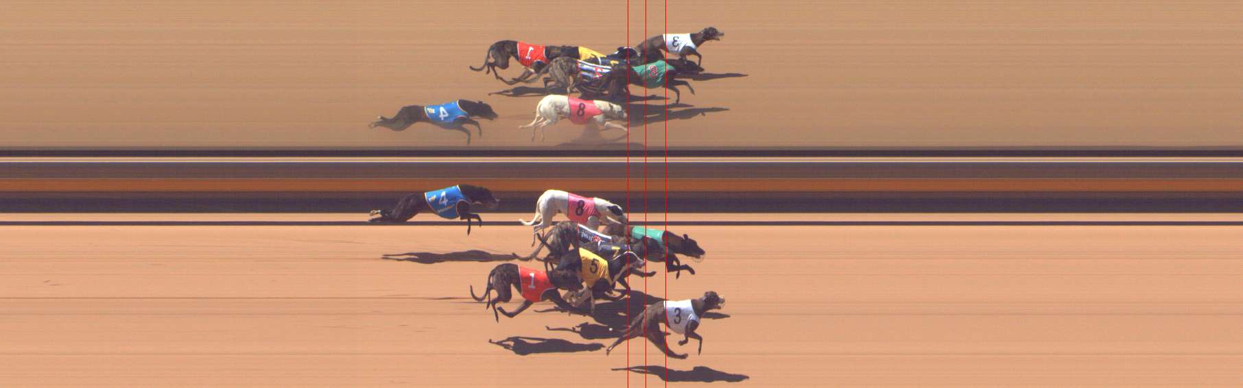 Photo finish for Shepparton Race 2