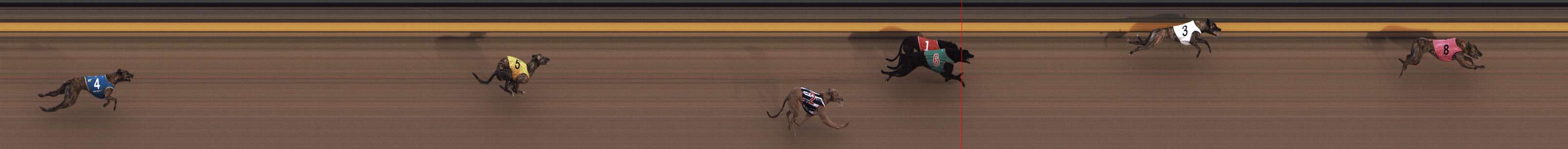Photo finish for Shepparton Race 3