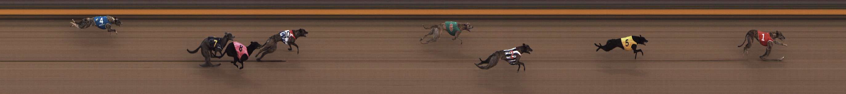 Photo finish for Shepparton Race 4