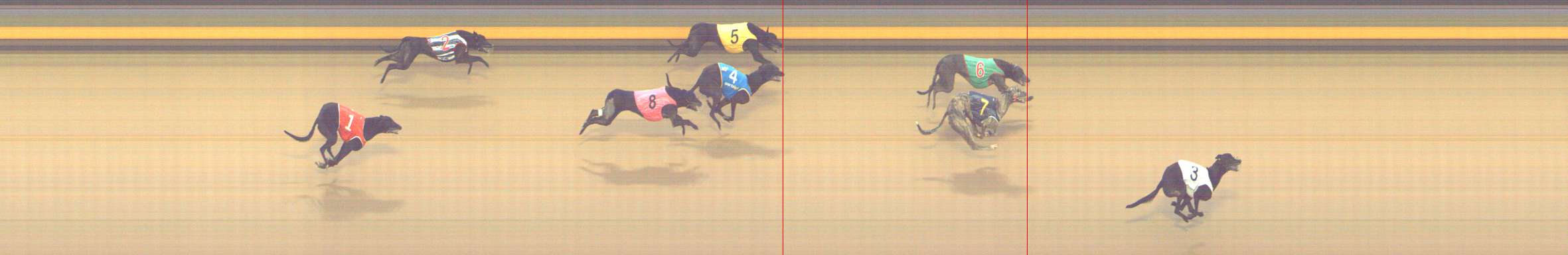 Photo finish for Shepparton Race 6