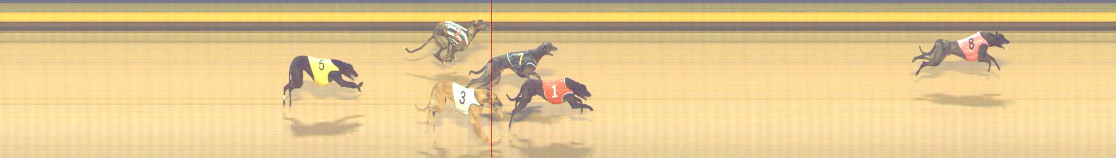 Photo finish for Shepparton Race 7