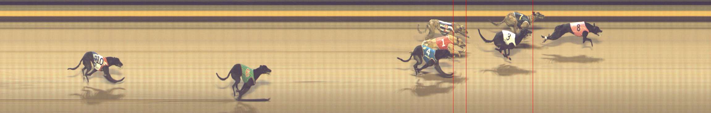 Photo finish for Shepparton Race 8