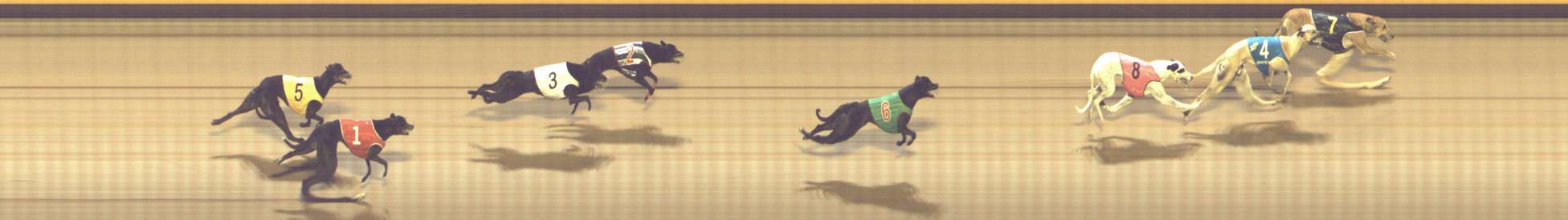 Photo finish for Shepparton Race 9