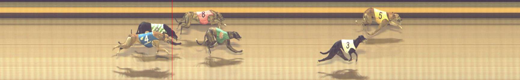 Photo finish for Shepparton Race 11