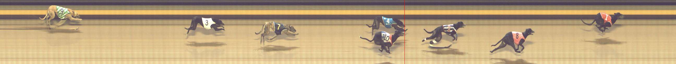 Photo finish for Shepparton Race 12