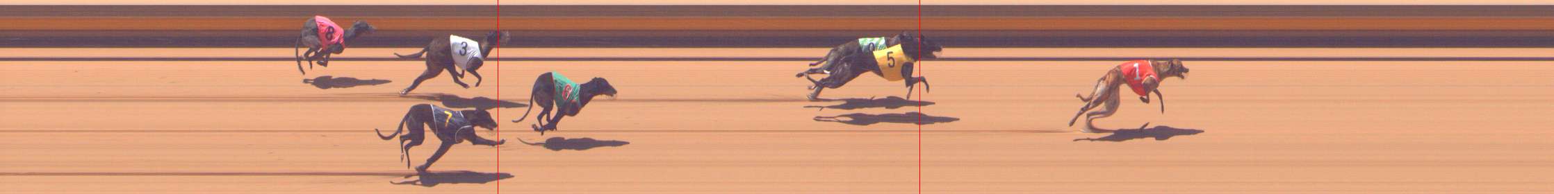 Photo finish for Shepparton Race 3