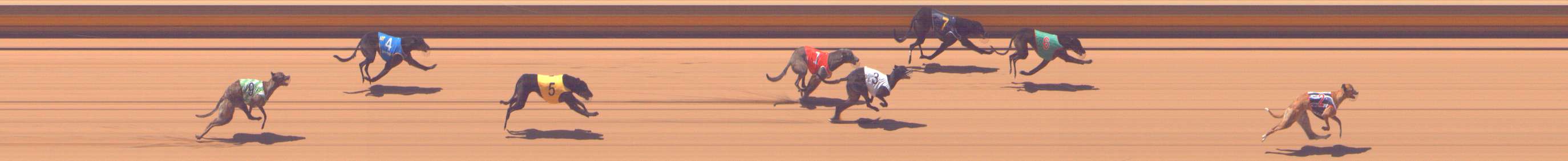 Photo finish for Shepparton Race 4