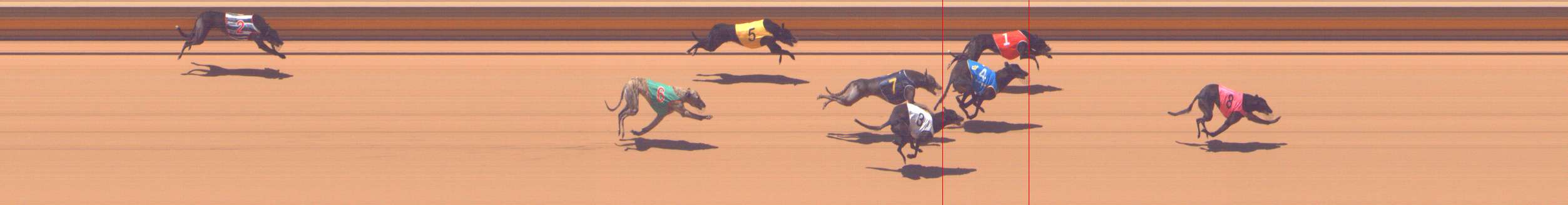 Photo finish for Shepparton Race 5