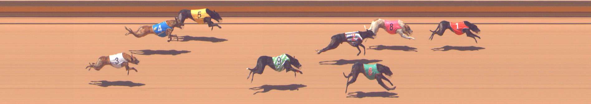 Photo finish for Shepparton Race 6