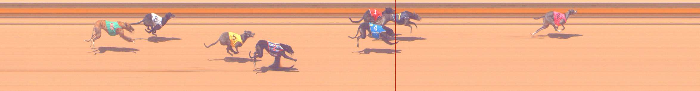 Photo finish for Shepparton Race 7