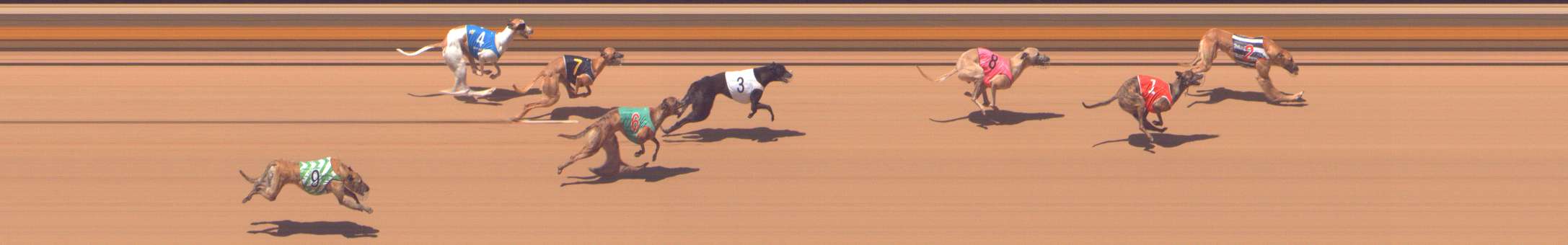 Photo finish for Shepparton Race 8
