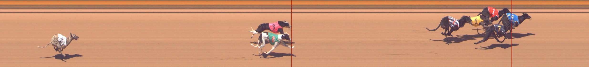 Photo finish for Shepparton Race 9