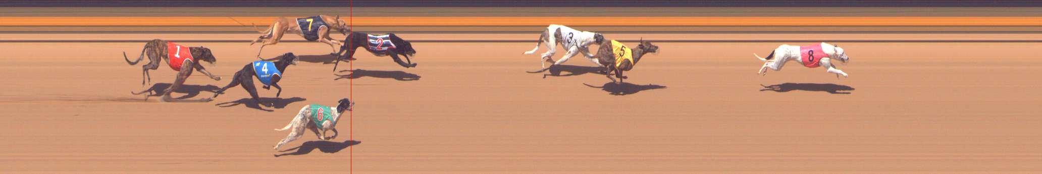 Photo finish for Shepparton Race 10