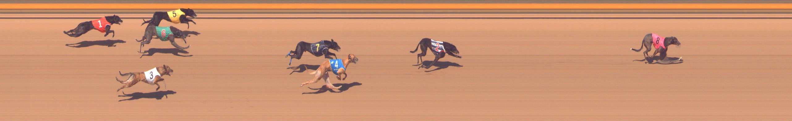 Photo finish for Shepparton Race 11