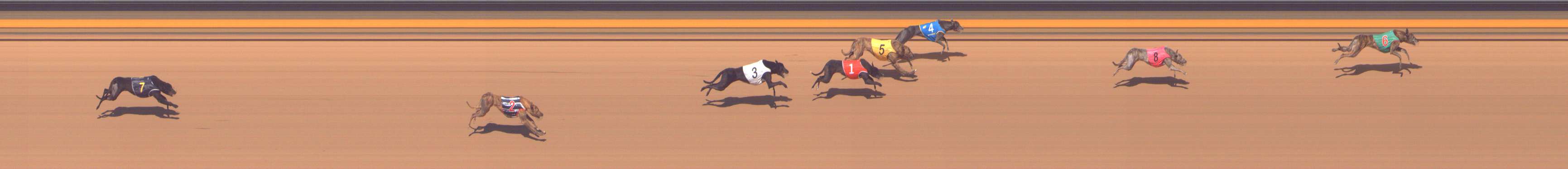 Photo finish for Shepparton Race 12