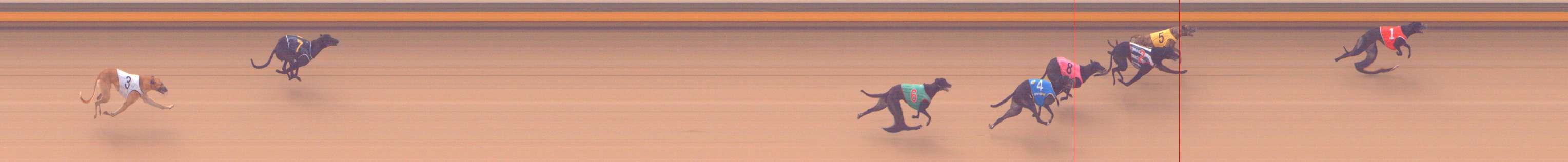 Photo finish for Shepparton Race 2