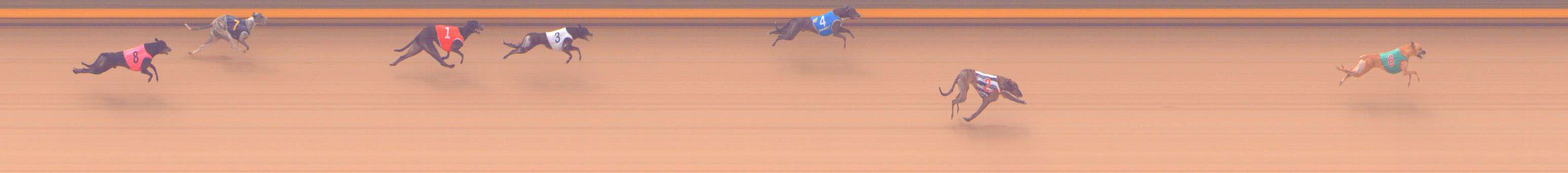 Photo finish for Shepparton Race 3