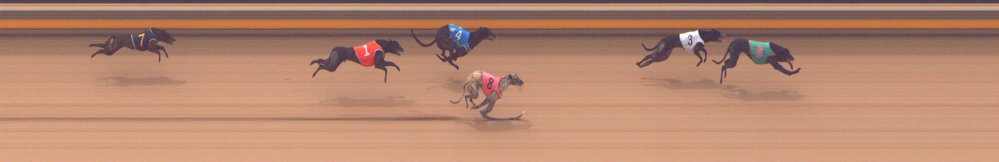 Photo finish for Shepparton Race 4