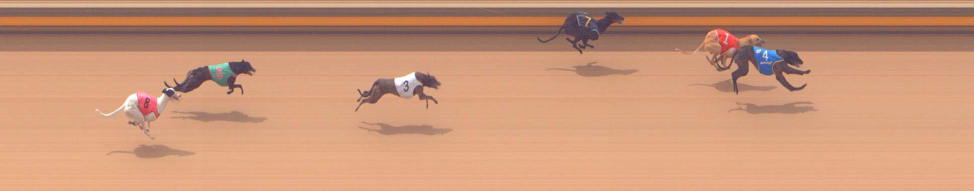 Photo finish for Shepparton Race 5