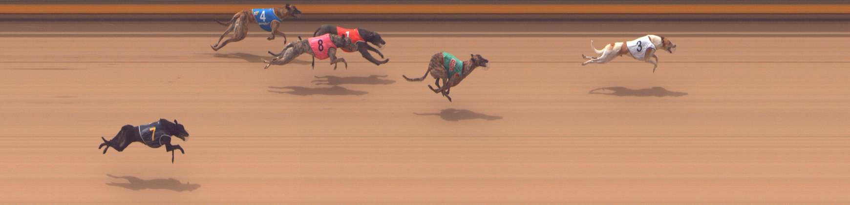 Photo finish for Shepparton Race 6