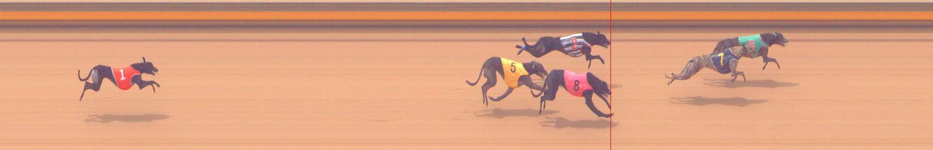 Photo finish for Shepparton Race 8