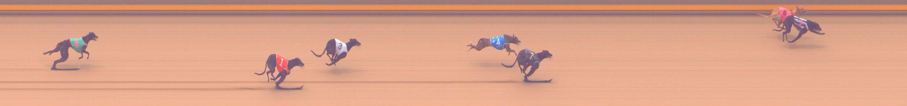 Photo finish for Shepparton Race 9