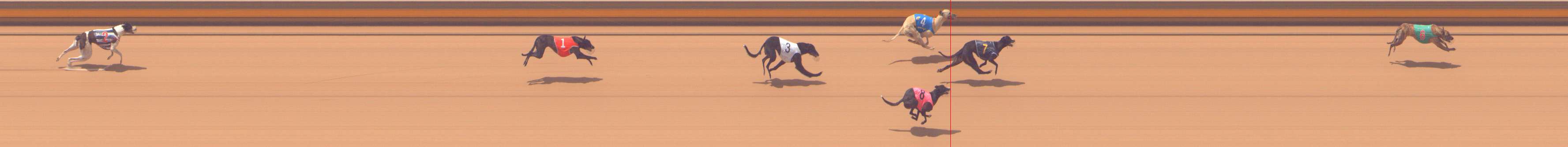 Photo finish for Shepparton Race 10