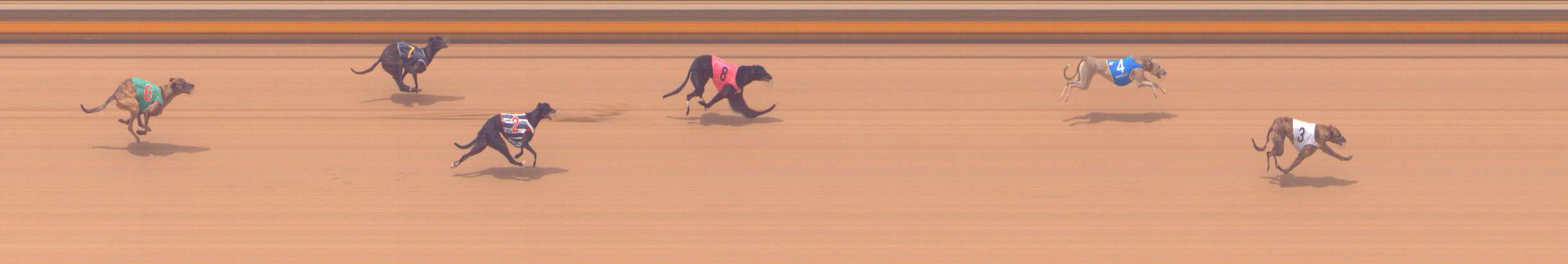 Photo finish for Shepparton Race 11
