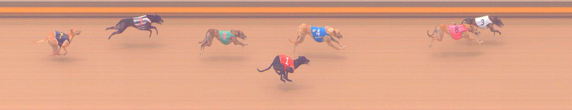 Photo finish for Shepparton Race 12