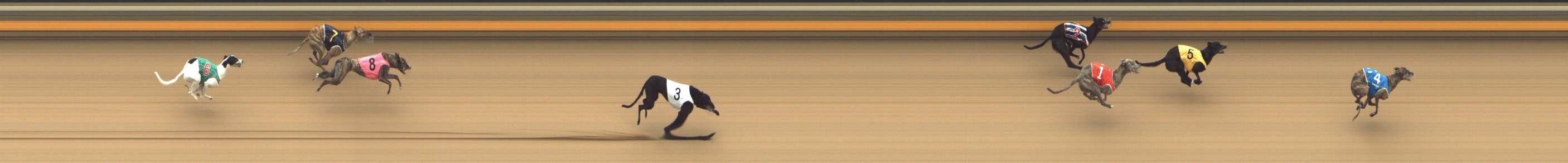 Photo finish for Shepparton Race 3
