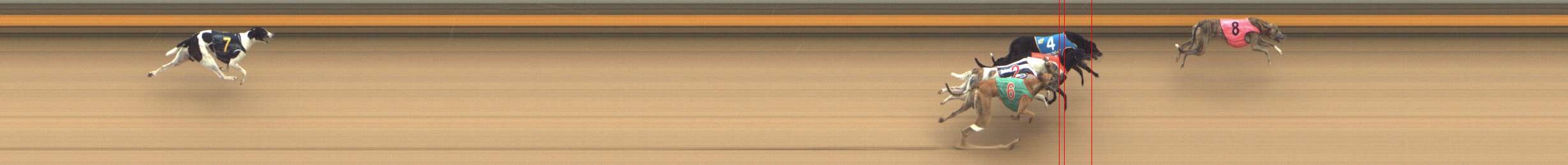 Photo finish for Shepparton Race 6