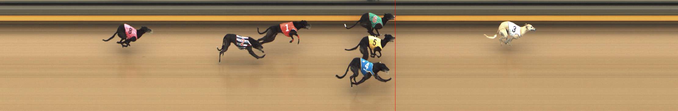 Photo finish for Shepparton Race 7