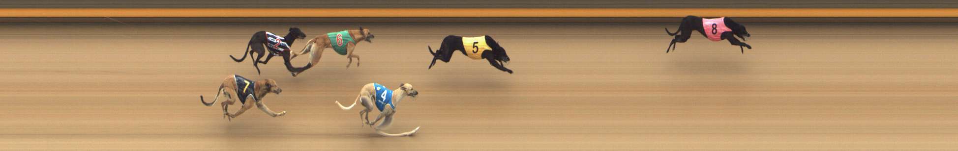 Photo finish for Shepparton Race 8
