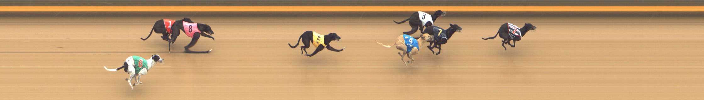 Photo finish for Shepparton Race 9