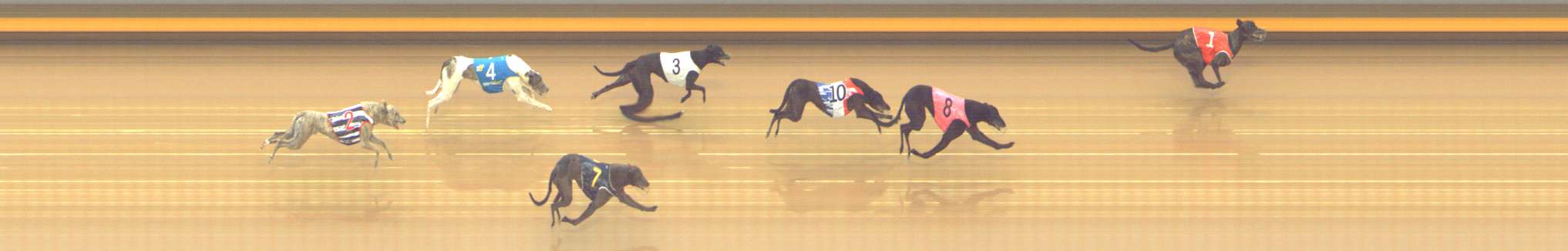 Photo finish for Shepparton Race 10