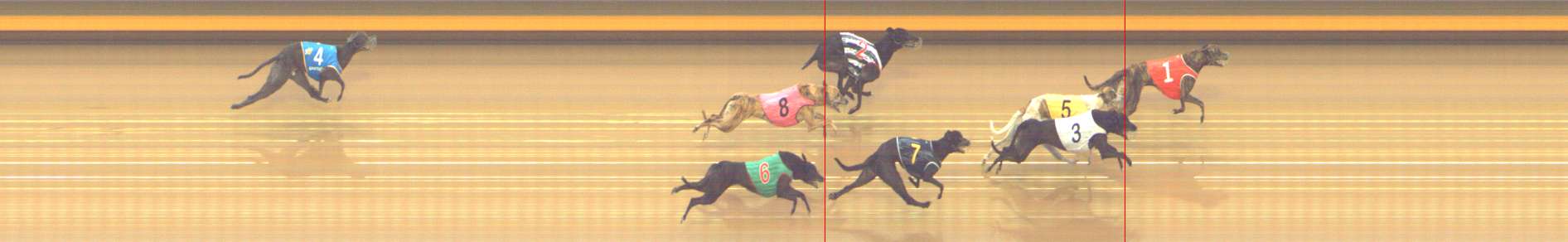 Photo finish for Shepparton Race 11